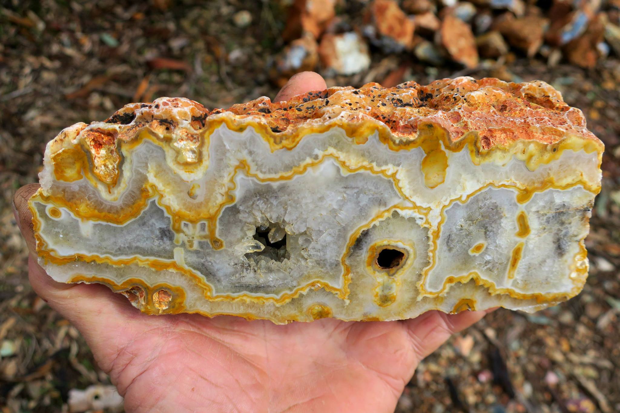 Western Australian Agates